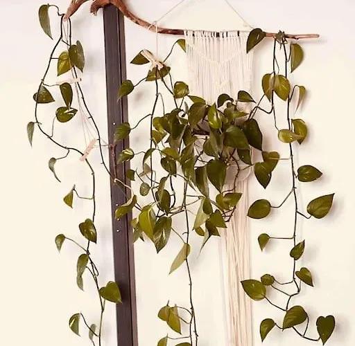 Luxus Loft Im Herzen Von Werne. Appartement